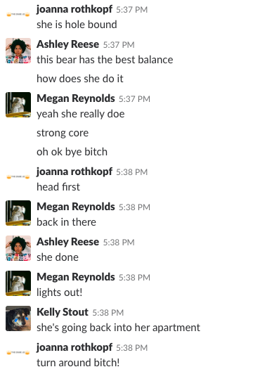 The bear did, in fact, turn around after that.